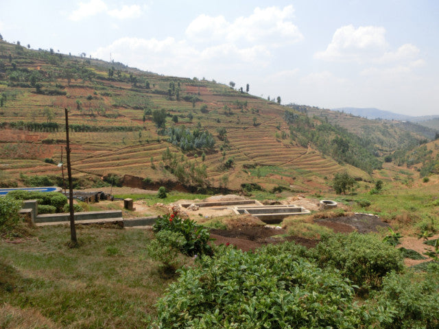Rwanda Buf coffee Nyarusiza CWS Baro 200g