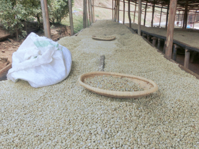 Rwanda Buf coffee Nyarusiza CWS Baro 200g