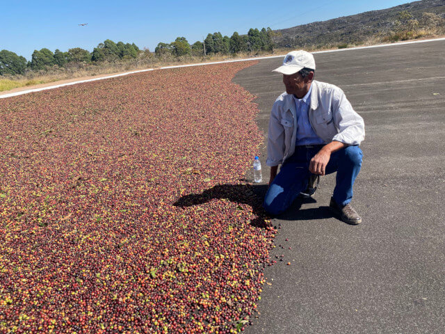 Brasil Tomio Fukuda Vale do Cristal DOT 200g