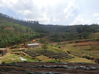 Rwanda Buf coffee Nyarusiza CWS Baro 200g