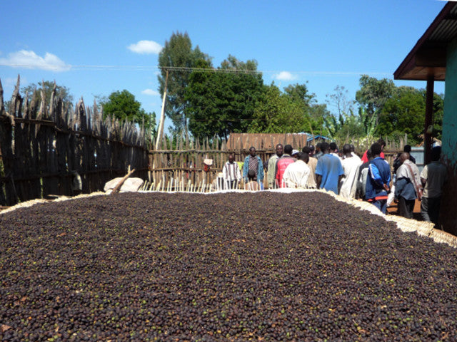 Ethiopia Yirgacheffe G-1 Gedeb Chelchele Washed 200g