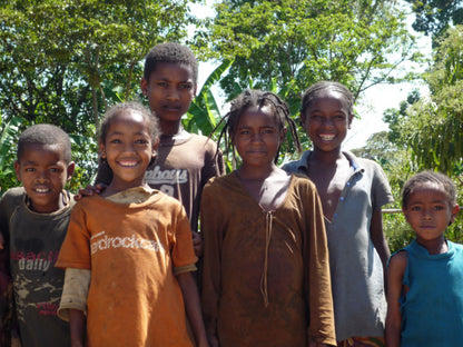 Ethiopia Yirgacheffe G-1 Gedeb Chelchele Washed 200g